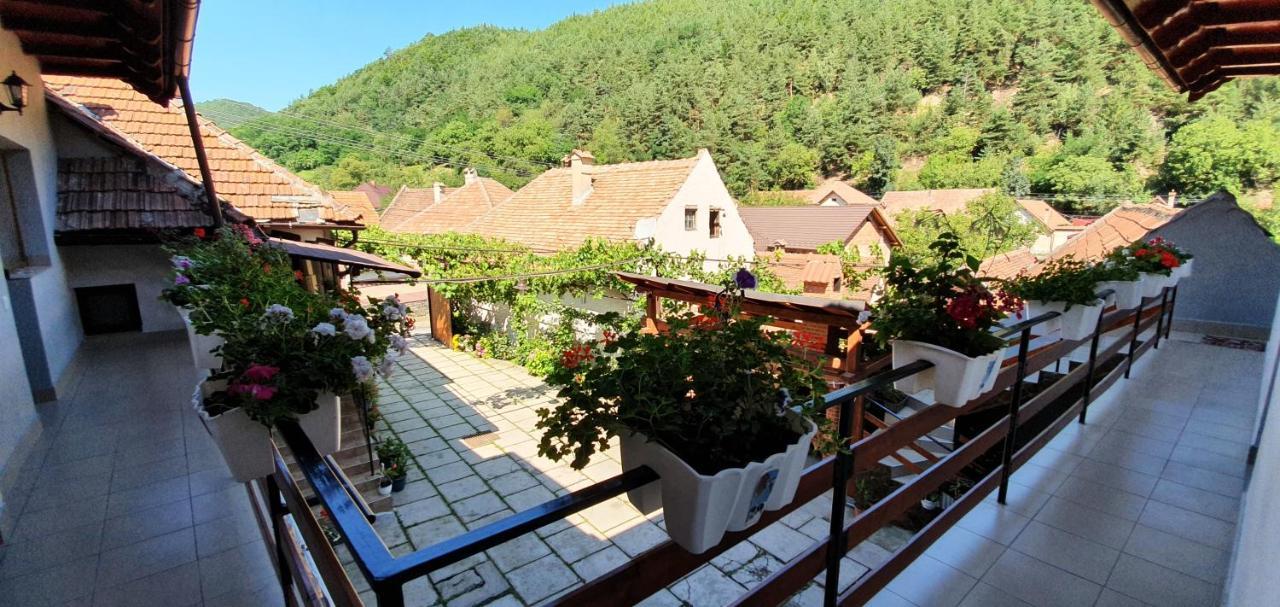 Casa Presecan Talmacel Exterior photo